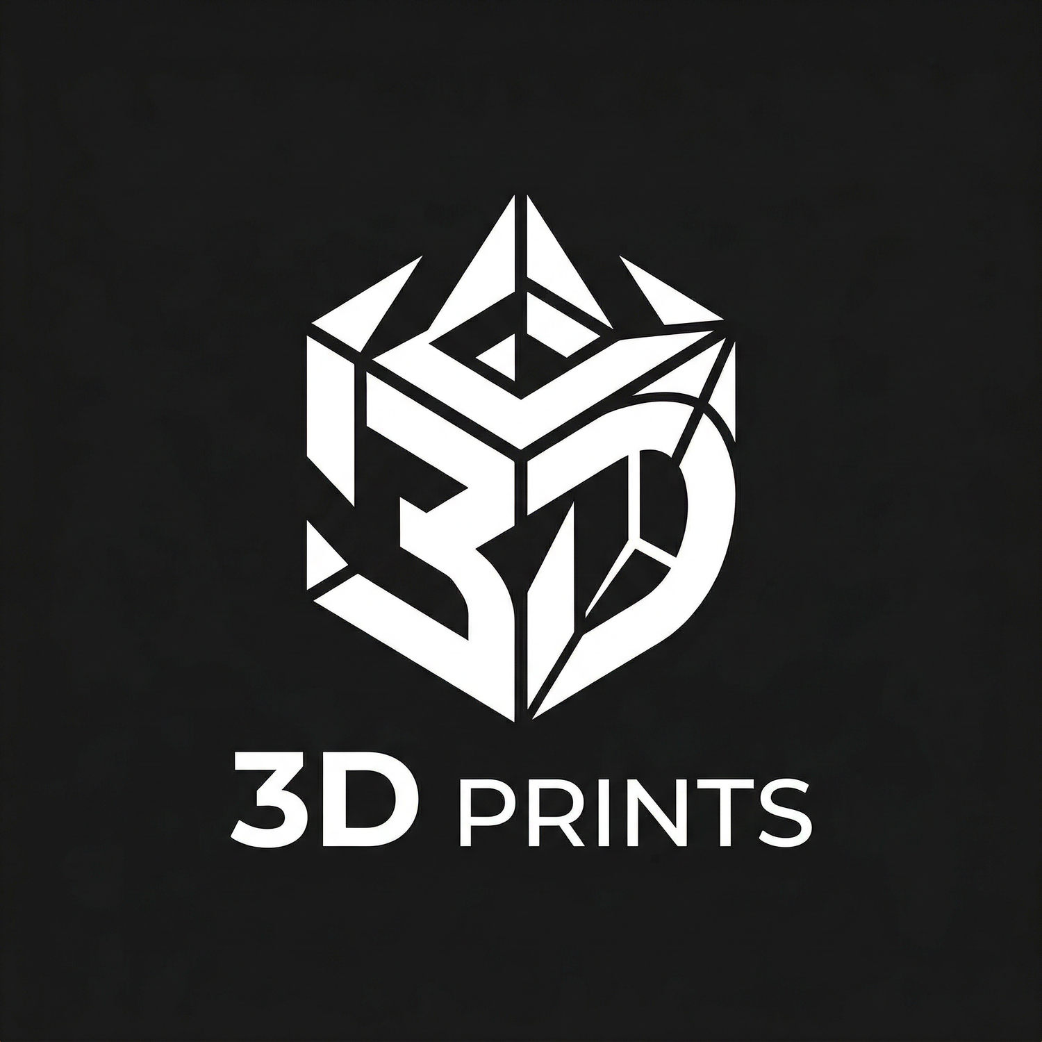 3D Prints